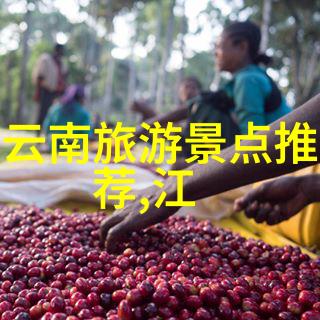 探索海外旅行社带你走进华盛顿DC的历史之都白宫国会大厦林肯纪念堂与华盛顿纪念碑