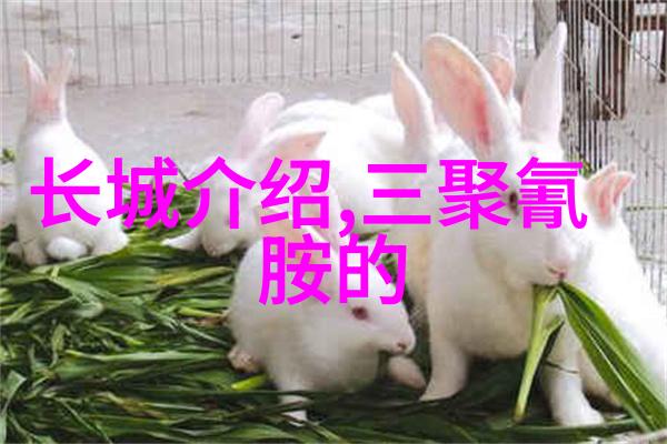 中国旅游业迎来新机遇海外游客涌入何解