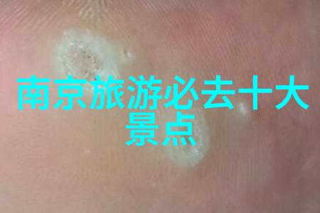 上海四人间住宿体验共享空间的现代魅力