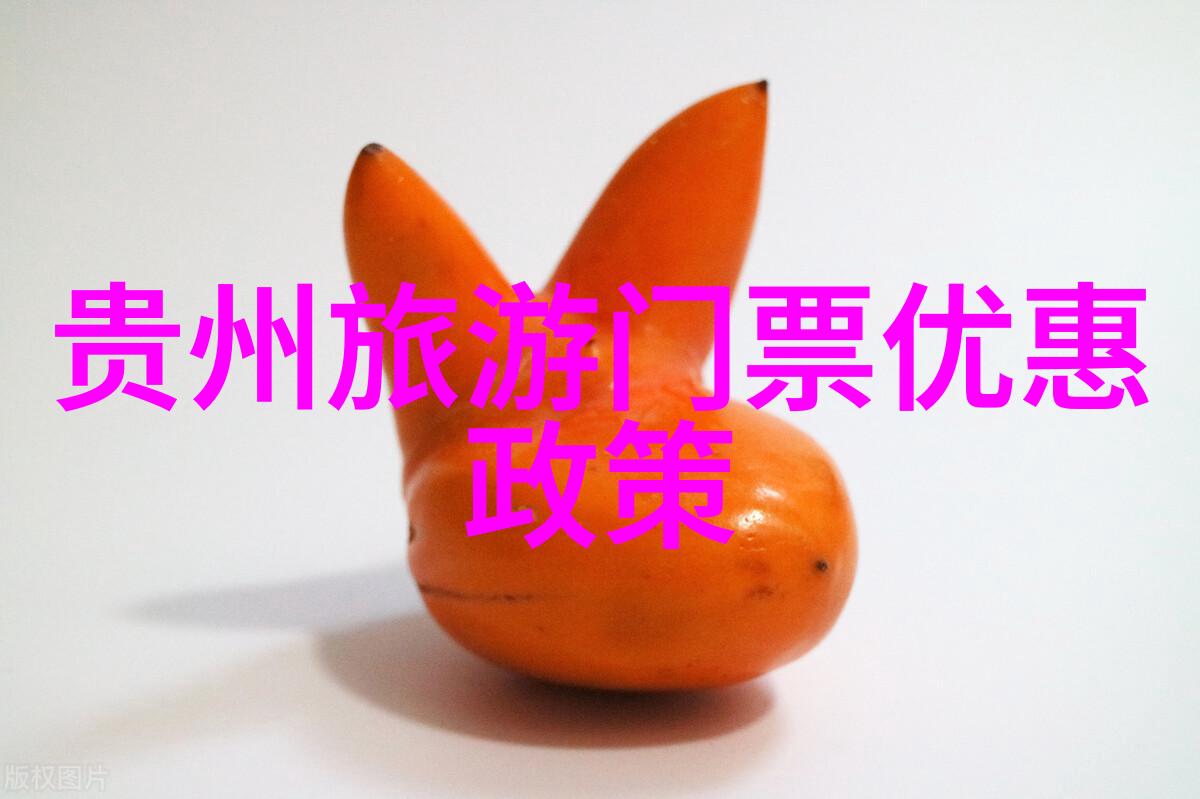 新手在广州用餐指南如何避免错过经典老字号