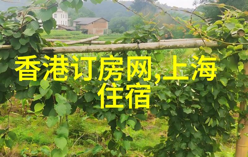 活力启蒙100种精心设计的幼儿园游戏活动