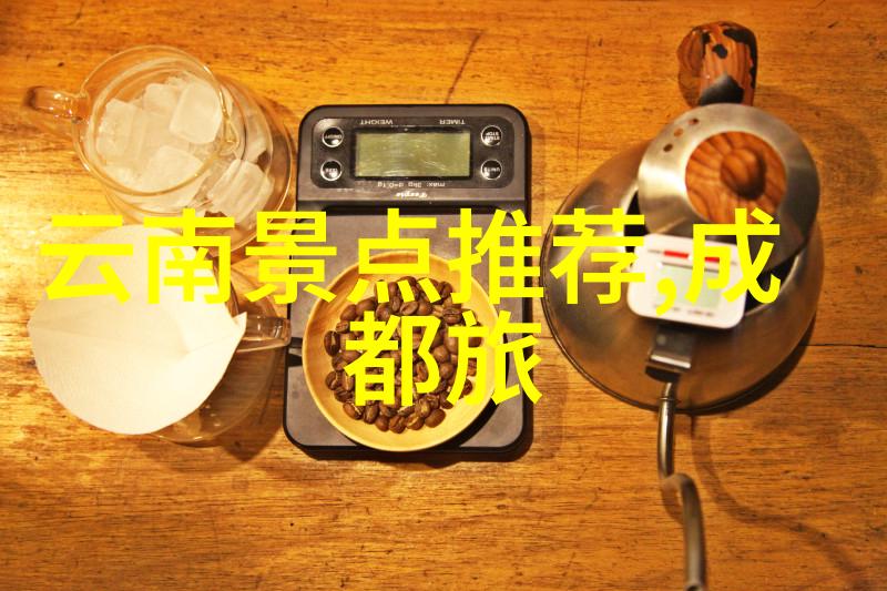 中国在疫情防控下如何平衡经济发展与民众旅行自由