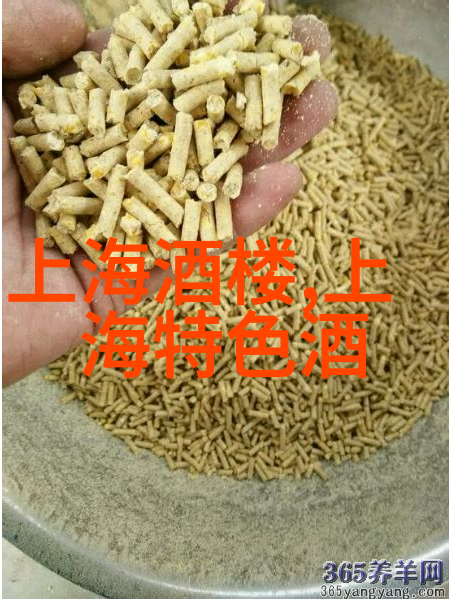远方的足迹探秘蓝色星球最美丽的角落