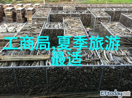 美食之旅探秘中国各地的独特小吃