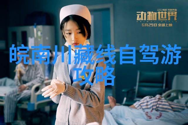 中国旅游官网网址解析探索文化之窗的数字足迹