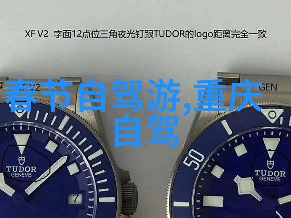 追逐梦想的足迹我在自由行中的450字游记