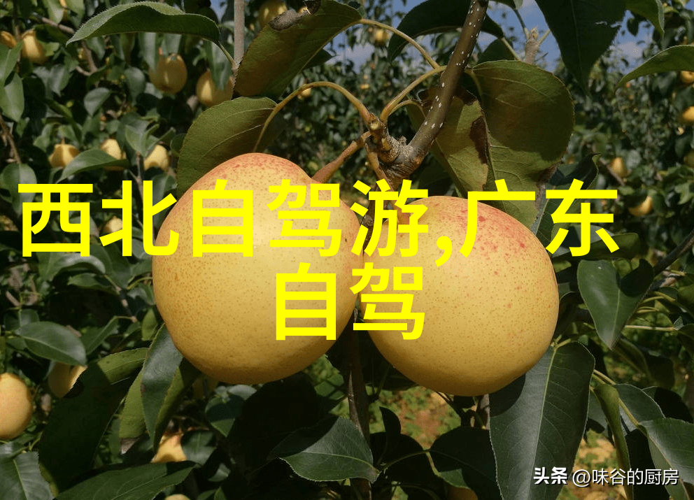 公交车内真空挤压现象引发乘客共鸣与担忧