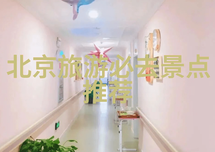 华盛顿特区6家独具特色的酒店上海自由行旅游全攻略反复探秘其独一无二的魅力