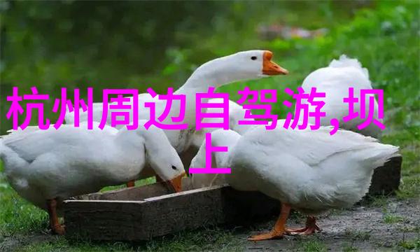 从田间到网上如何利用新媒体推广乡村旅游类论文内容