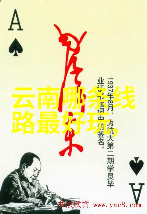 打开妈妈生命通道揭秘母爱的奥秘与力量