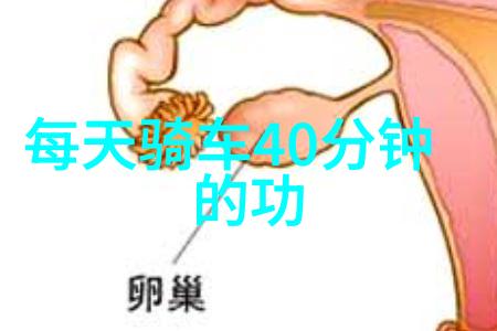 张警官撞玻璃高清视频全集-警界惊魂张警官撞glass事件的真相探究