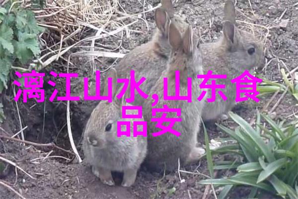 山川幽深花海盛开5月的国家公园必去之地