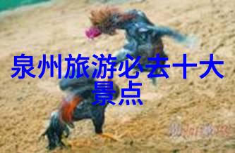 你的太大了我装不下-超出容忍极限的爱情故事