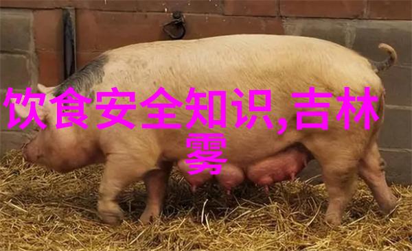 团队户外团建小游戏-野性生存探索团队合作的秘密