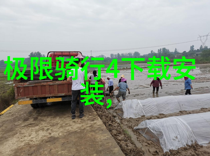 黄山之巅农家乐的温馨如诗你有故事我有床共赴一场难忘的旅行