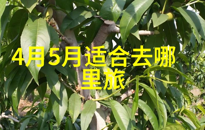 云雾缭绕的贵州奇遇自由行最佳探索线路