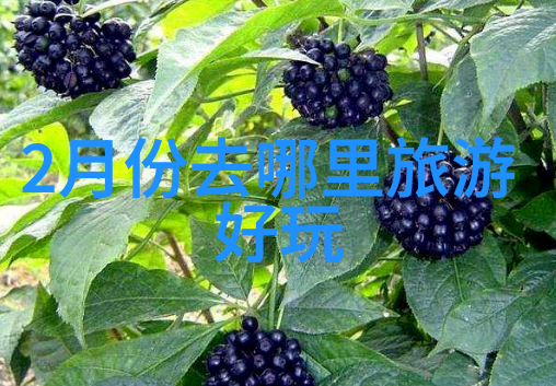 春风拂柳钱柳吟的韵味与情感