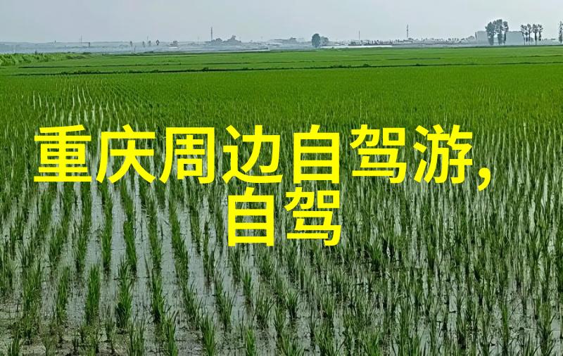 云南七日游购物指北特产和纪念品选购技巧