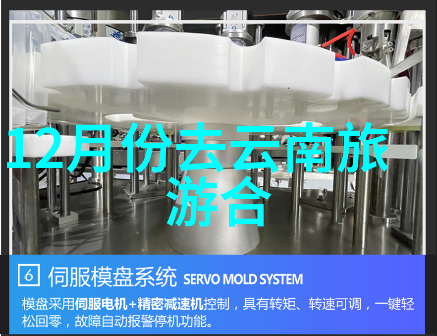 团建活动策划 - 团队协作之旅创造互动与共鸣的策略分享