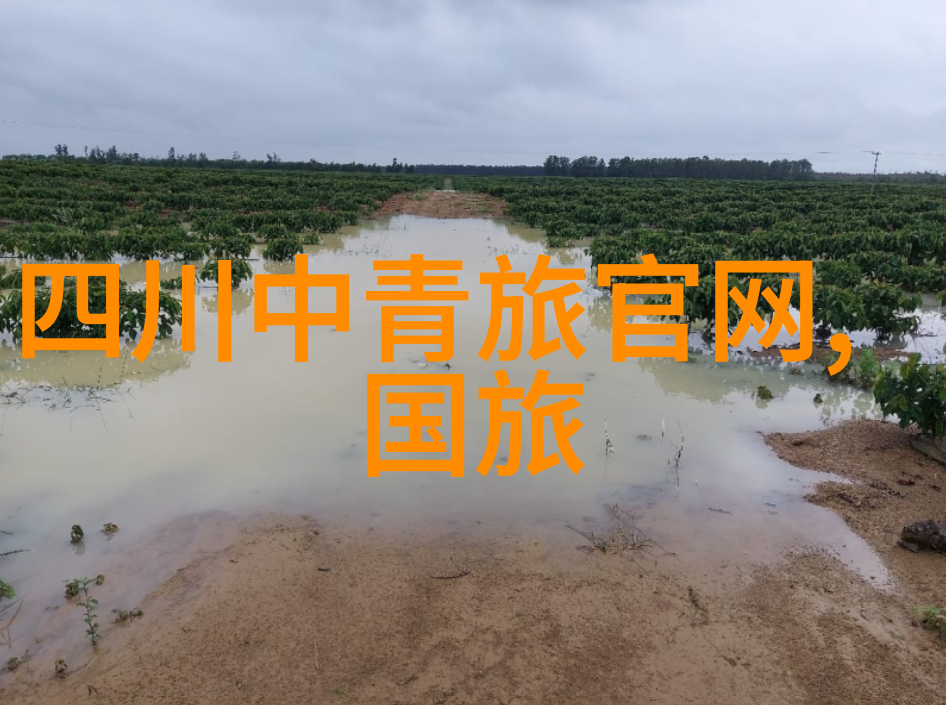 上海冬天怎么穿我是如何在上海过一个舒心的冬季