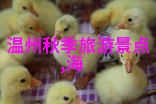 文化艺术节中的民俗演出体验