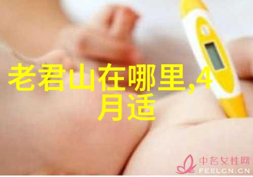 墨尔本别墅价格如同金钱迷雾留学生寻工作难度犹如穿越这迷雾的路程