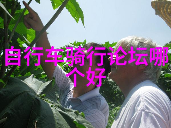 四年级的探险日记云南之旅