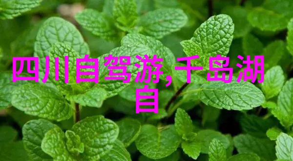 如何高效地利用昆明大理丽江三地之间的交通工具