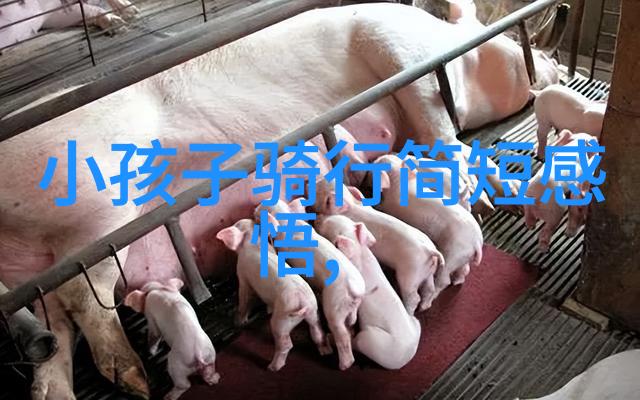 千户苗寨我在云南的那段迷失与寻觅千户苗寨里的故事