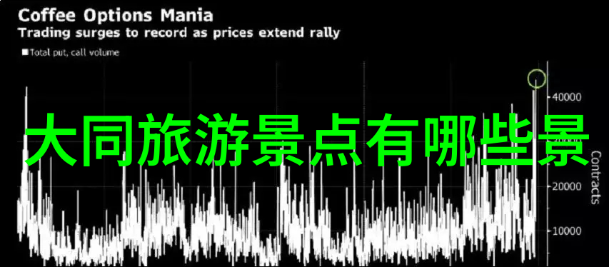 上海美食指南数据解析的口味探索