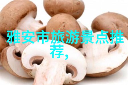 张家界自驾游探索马岭河大桥的奇迹之旅