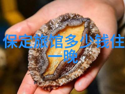 在武汉如何才能体验到最纯粹的湖北风情