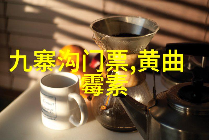 外滩美食探秘揭秘一条历史街区的味蕾盛宴
