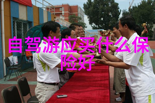 冬日绽放之旅寻踪北极星的温暖秘境