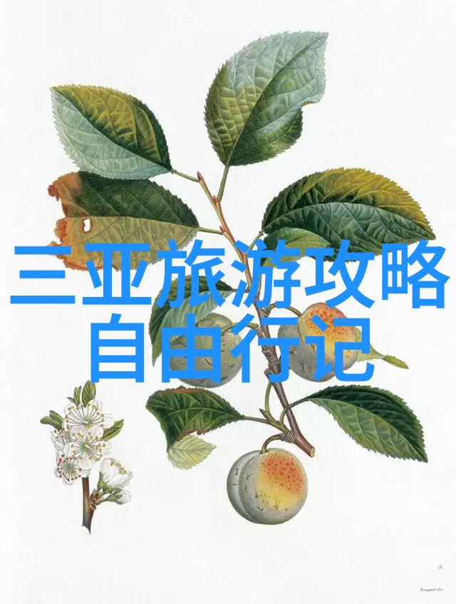 夏日启航七月最适合带孩子的旅游城市之选