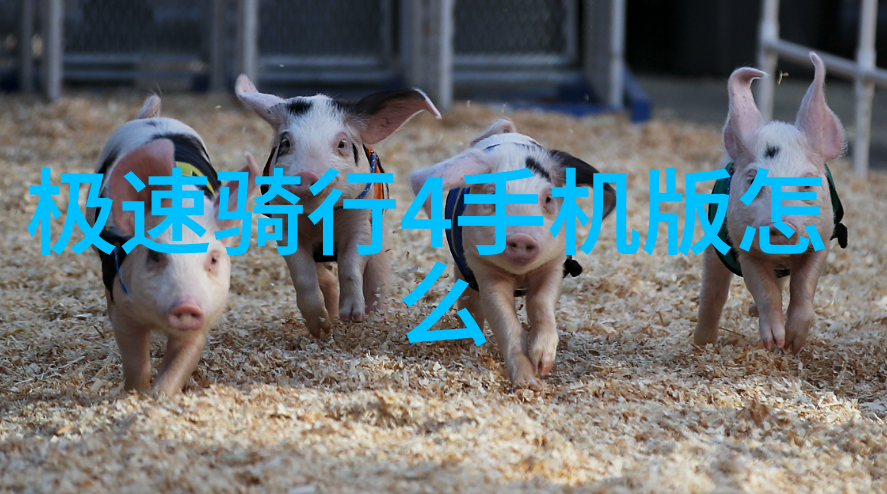 四川自然奇观云南大理丽江与成都的五日行程