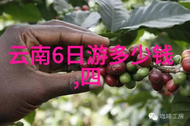 春节期间的公园游览指南寻找宁静与美好瞬间
