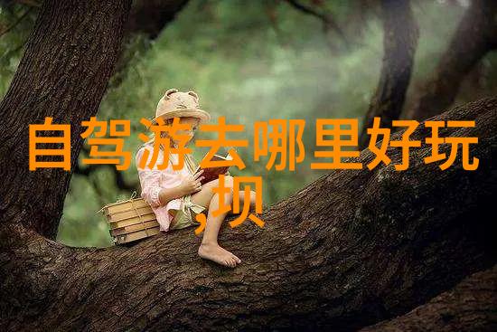 自驾游租车我是不是也可以开着宝马去旅行啊