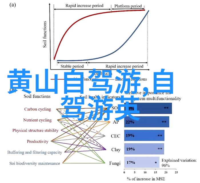 山东美食之旅如何规划一次不忘的自由行