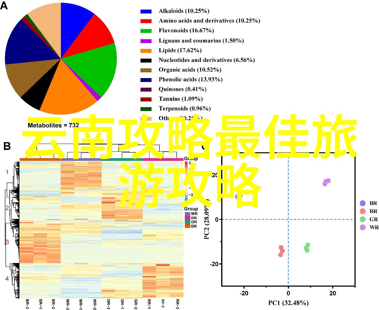庐山风光江南翠峦的独特魅力
