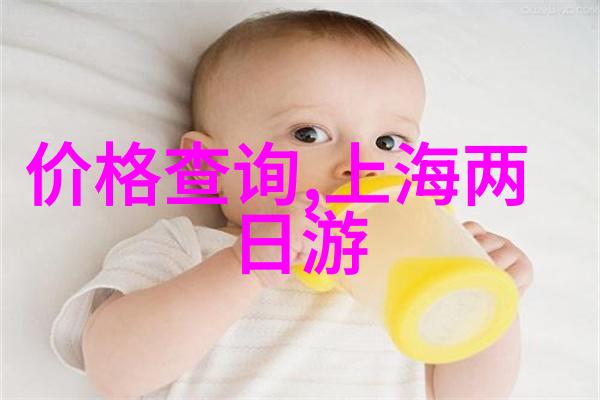 南京美食风采揭秘秦淮河畔的味道传承