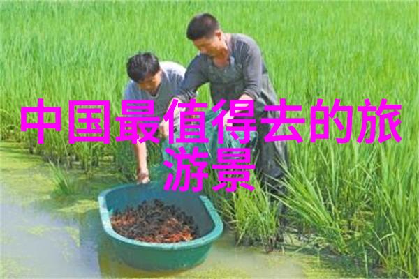 青海湖畔漫步捕捉碧波荡漾风光旖旎的一刻