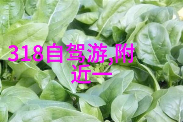 南京本地菜有名的餐馆我在这家香江楼吃了个大饱