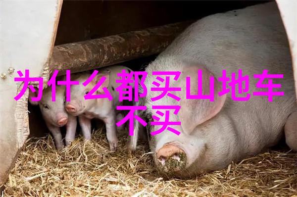 波兰的爱情故事在全球度假胜地排名中寻找浪漫的共鸣