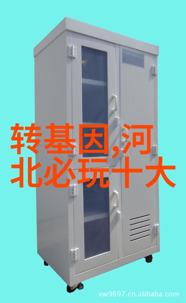 泉州旅游攻略我是如何在泉州找到了最美的海滩和最好吃的海鲜