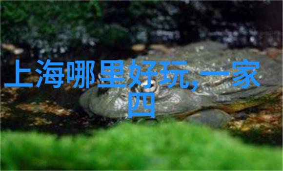 九寨沟探秘寻觅那片风景如画的夜晚避风港