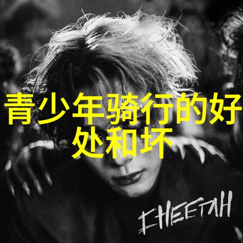 黄土高原上的奇迹西安古城游记