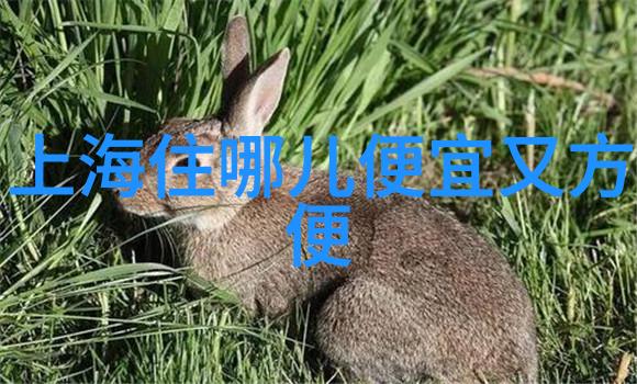 杭州笑谈游揭秘那些只在小伙伴圈流传的旅行秘密