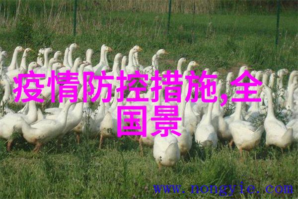 唐人街探案电影系列侦探陈太华的智慧与勇气