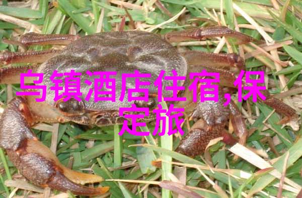 暑假穷游十大最佳景点-夏日旅行宝典追逐热浪的省钱攻略
